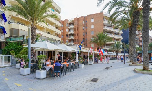 Resale - Penthouses -
Torrevieja - Playa del Cura - Torrevieja
