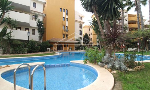 Segunda mano - Apartamentos -
Orihuela Costa - Punta Prima