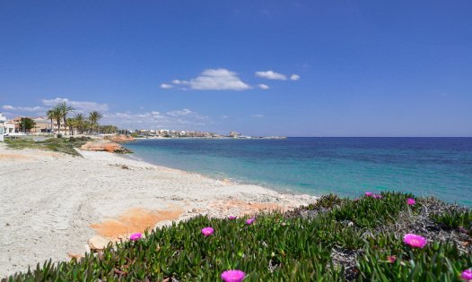 Resale - Apartments -
Torrevieja - Playa del Cura - Torrevieja