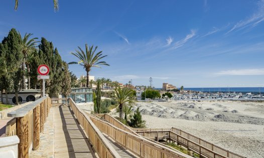 Segunda mano - Bungalows -
Pilar de la Horadada