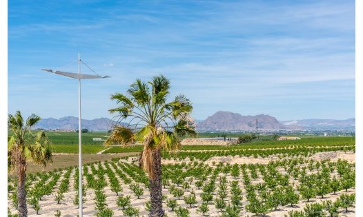 Återförsäljning - Villor -
Algorfa