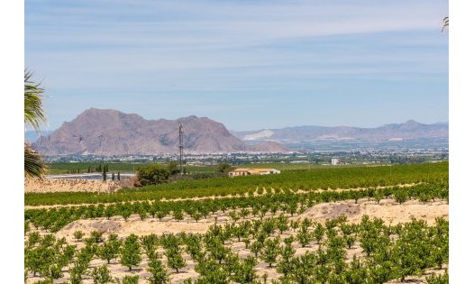 Återförsäljning - Villor -
Algorfa