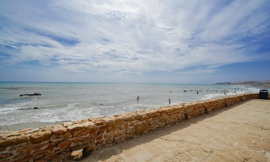 Segunda mano - Apartamentos -
Torrevieja