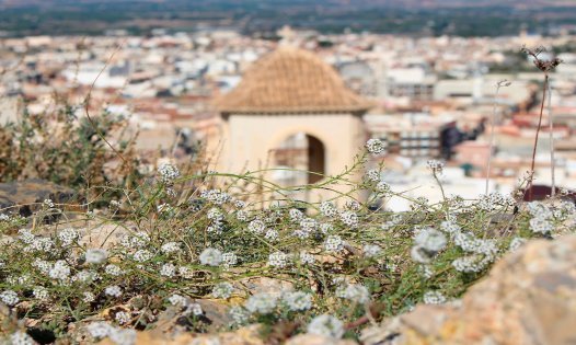 Resale - Villas -
Cox