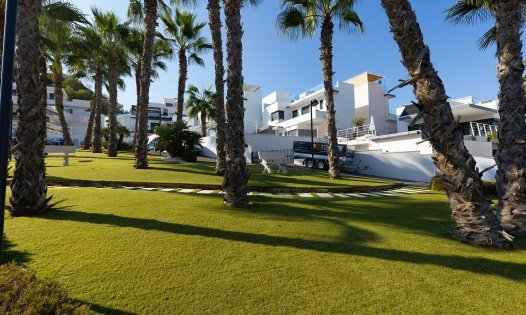 Segunda mano - Villas -
San Miguel de Salinas