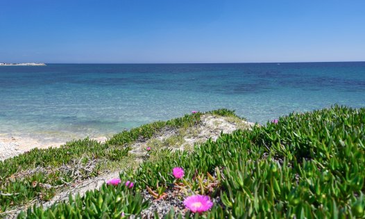 Revente - Appartements -
Torrevieja - Playa del Cura - Torrevieja