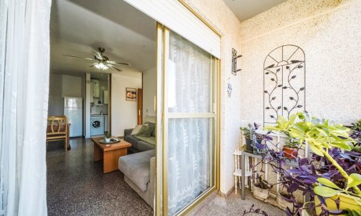 Långtidsuthyrning - Lägenheter -
San Pedro del Pinatar - Lo Pag&aacute;n