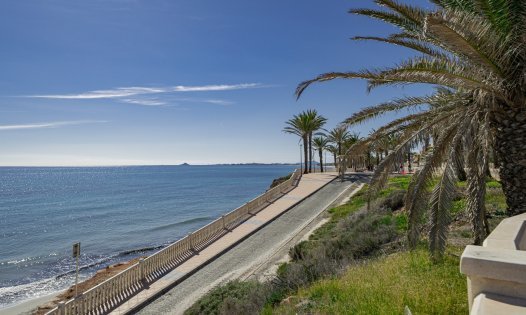 Resale - Commercial premises -
Pilar de la Horadada