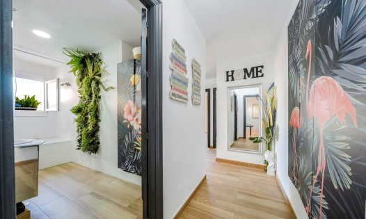 Resale - Penthouses -
Pilar de la Horadada