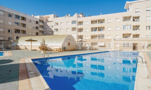Resale - Apartments -
Torrevieja - Centro - Torrevieja