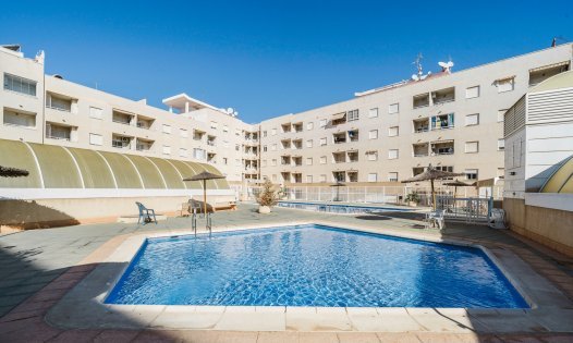 Resale - Apartments -
Torrevieja - Centro - Torrevieja