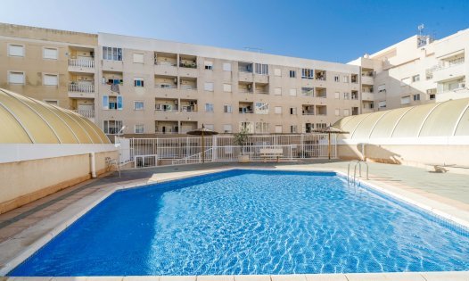 Resale - Apartments -
Torrevieja - Centro - Torrevieja