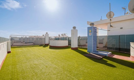 Resale - Apartments -
Torrevieja - Centro - Torrevieja