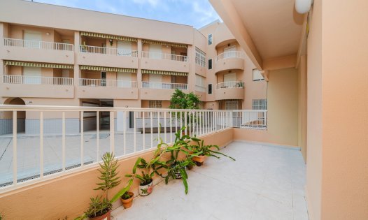 Resale - Apartments -
San Pedro del Pinatar