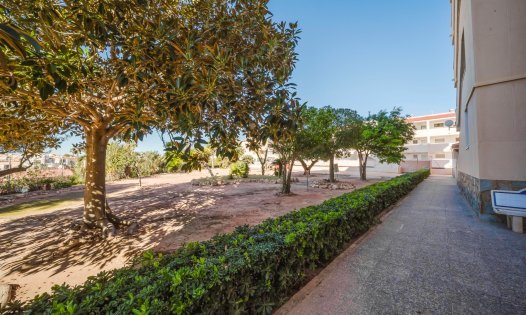 Resale - Apartments -
Pilar de la Horadada - Mil Palmeras