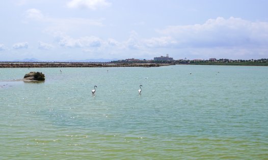 Resale - Terraced Houses -
San Pedro del Pinatar