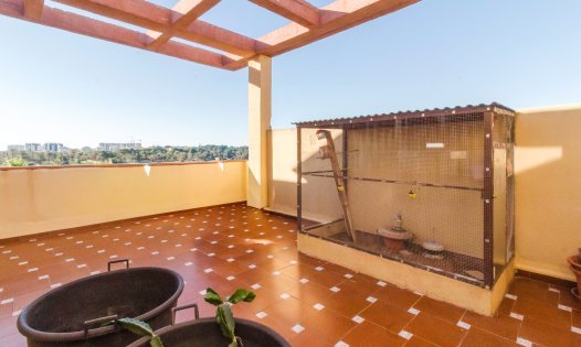 Resale - Terraced Houses -
Torrevieja - La Veleta - Torrevieja