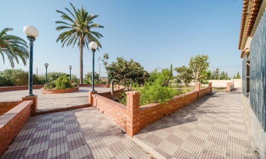 Revente - Locaux commerciaux -
ALICANTE - Alicante