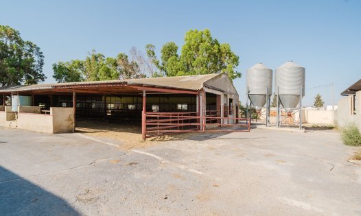 Revente - Locaux commerciaux -
ALICANTE - Alicante