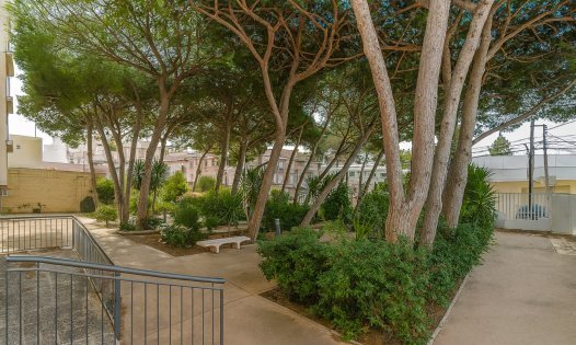 Resale - Apartments -
San Pedro del Pinatar - Lo Pagán