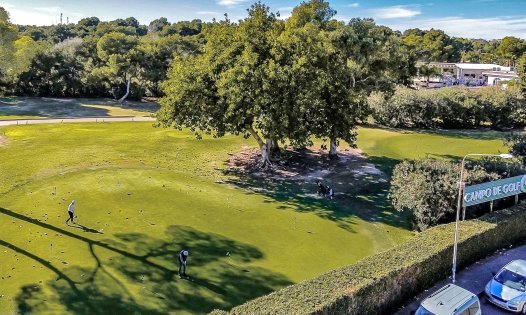 Wiederverkauf - Grundstücke -
Orihuela Costa - Los Altos