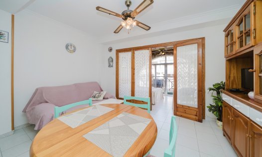 Long Term Rental - Apartments -
Torrevieja