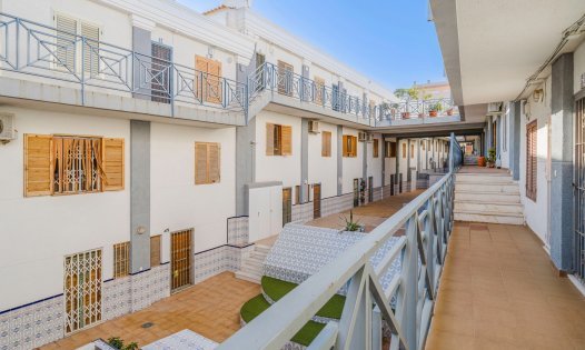 Long Term Rental - Apartments -
Torrevieja