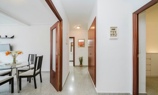 Resale - Apartments -
San Miguel de Salinas