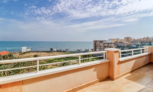 Revente - Penthouses -
Torrevieja - Playa del Cura - Torrevieja