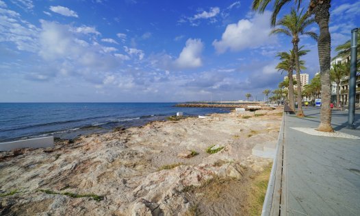 Herverkoop - Villa's -
Torrevieja - Aguas Nuevas - Torrevieja