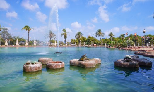 Herverkoop - Villa's -
Torrevieja - Aguas Nuevas - Torrevieja