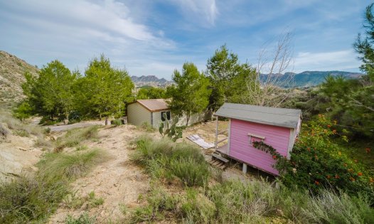 Resale - Plots -
Murcia - GEA Y TRUYOLS