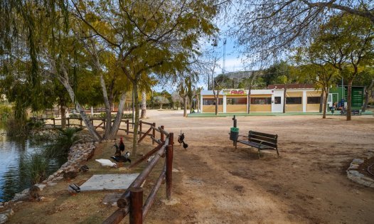 Resale - Terraced Houses -
Benijófar