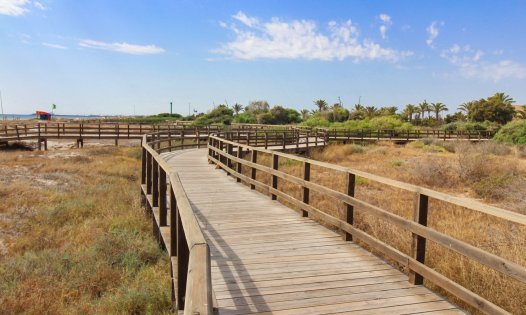 Resale - Penthouses -
Pilar de la Horadada