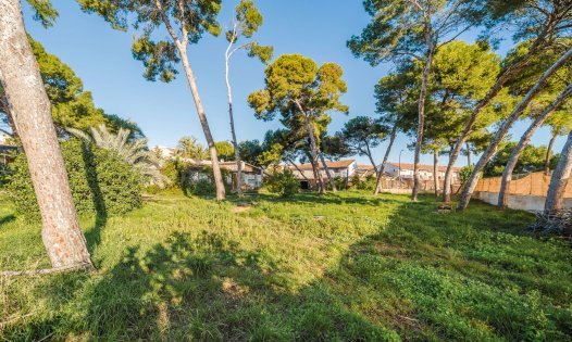 Resale - Villas -
San Pedro del Pinatar