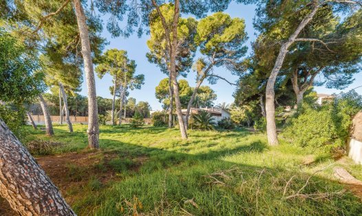 Resale - Villas -
San Pedro del Pinatar