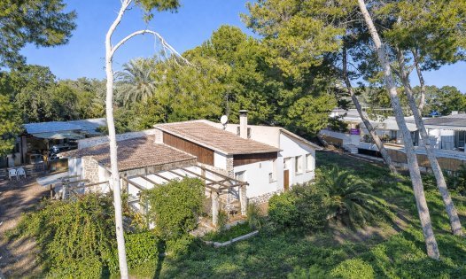 Resale - Plots -
San Pedro del Pinatar