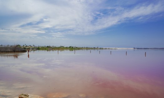 Återförsäljning - Lägenheter -
San Miguel de Salinas