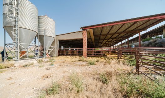 Resale - Country Houses -
ALICANTE - Alicante