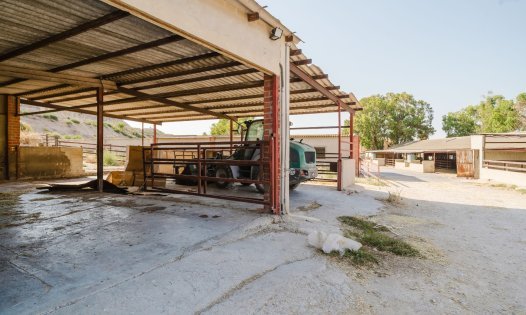 Resale - Country Houses -
ALICANTE - Alicante