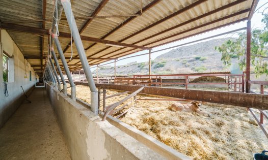 Resale - Country Houses -
ALICANTE - Alicante