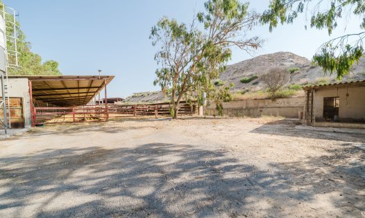 Resale - Country Houses -
ALICANTE - Alicante