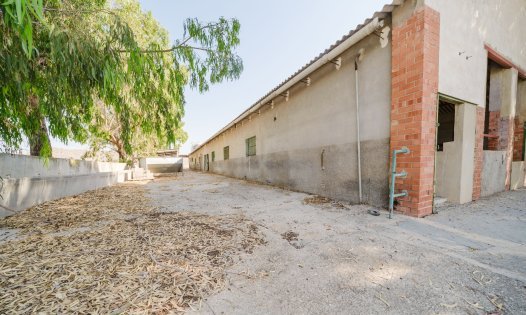 Resale - Country Houses -
ALICANTE - Alicante