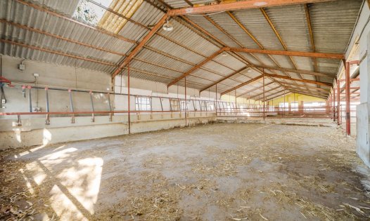 Resale - Country Houses -
ALICANTE - Alicante