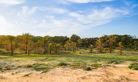 Resale - Villas -
Guardamar del Segura
