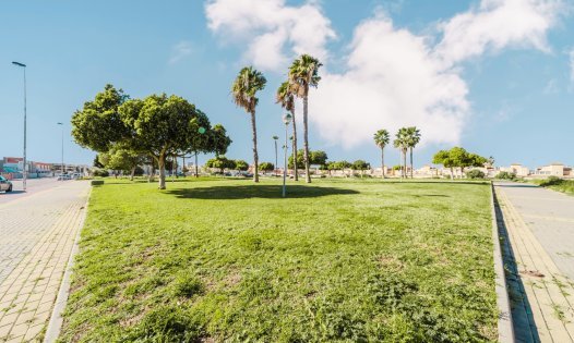 Resale - Apartments -
Torrevieja