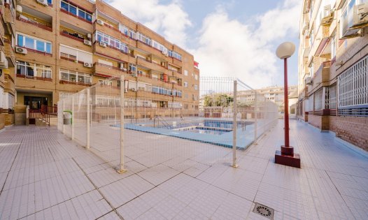 Segunda mano - Locales comerciales -
Torrevieja - Centro - Torrevieja