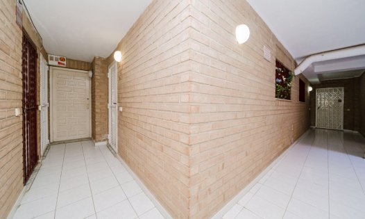 Segunda mano - Locales comerciales -
Torrevieja - Centro - Torrevieja