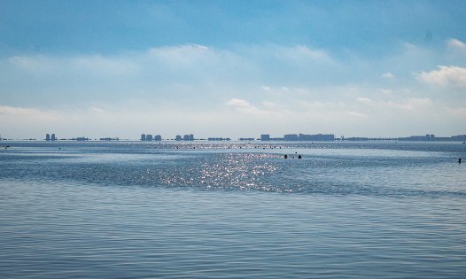 Återförsäljning - Tomter -
Alcázares, Los