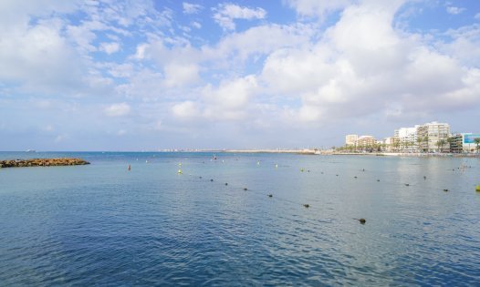 Herverkoop - Bungalows -
Torrevieja - Los Balcones - Torrevieja